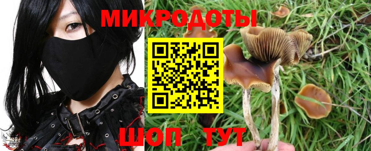Псилоцибиновые грибы ЛСД  Псилоцибиновые грибы мухоморы  Вход с VPN  как найти   Сорочинск 